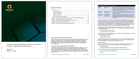 A montage of three thumbnail-sized screenshots from Onpoint's 2026 Collective Impact Methods Documentation