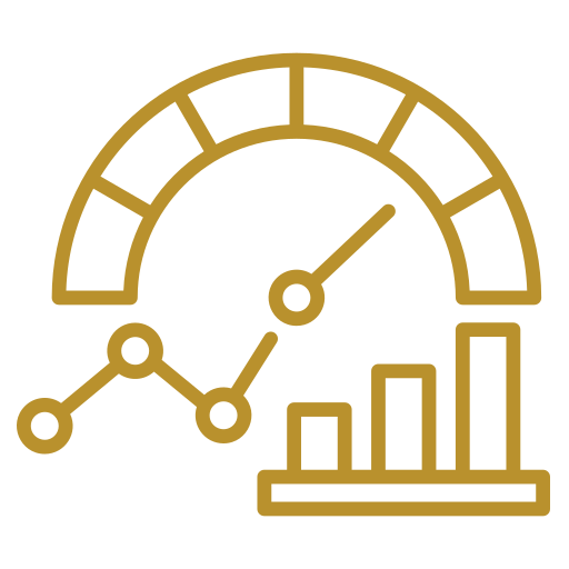 Custom Analytics & Visualizations