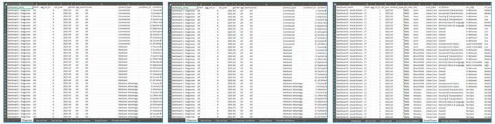 Compilation image of three screenshots from the Collective Impact 2026 Public-Use File. The thumbnails illustrate data tabs from the downloadable spreadsheet file in Excel format.