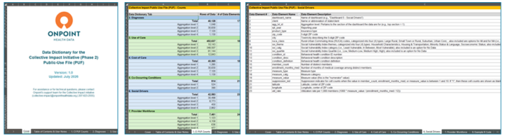 Compilation image of three screenshots from the Collective Impact data dictionary for the 2026 Public-Use File. The thumbnails illustrate (from left to right) the cover, counts of specific metrics, and a sample definitions page.